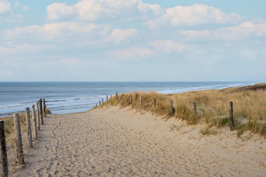 De Zilvermeeuw - foto 32