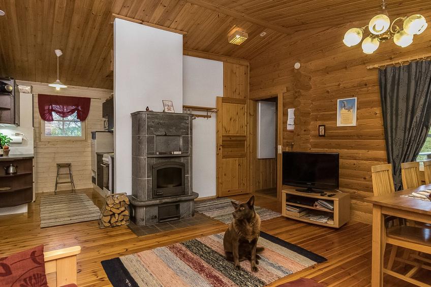 Kytöranta, rantalan lomamökit - foto 28