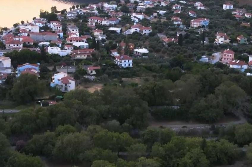 Spiti Louloudia - foto 11