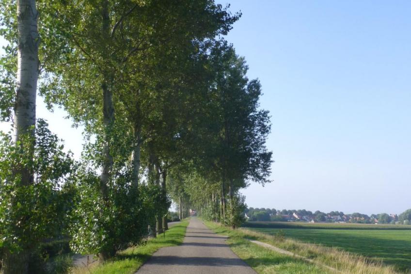 Neuer schöner Bungalow - foto 34