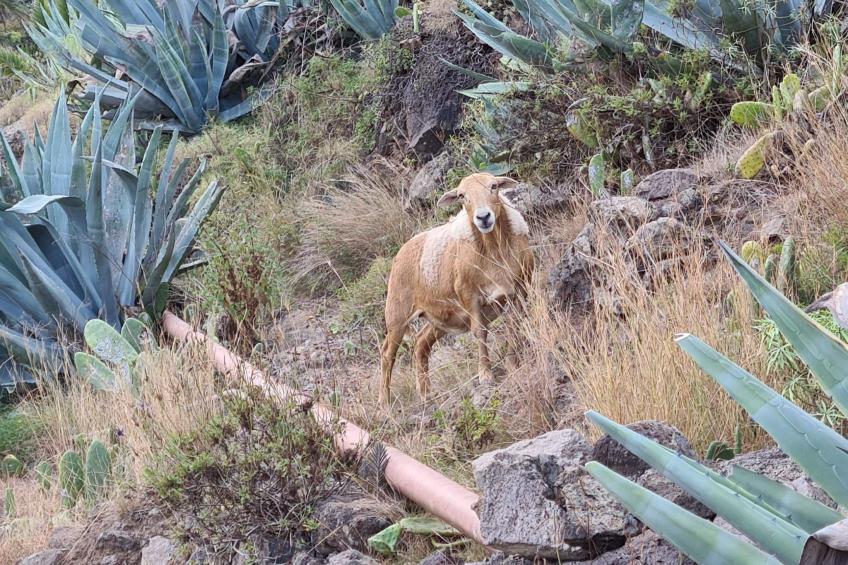 Casa Alicia Apart 1 - foto 43