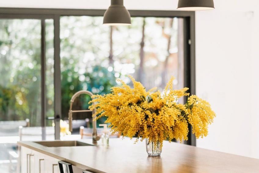 Villa contis-Plage 900m vom Ozean entfernt - foto 17