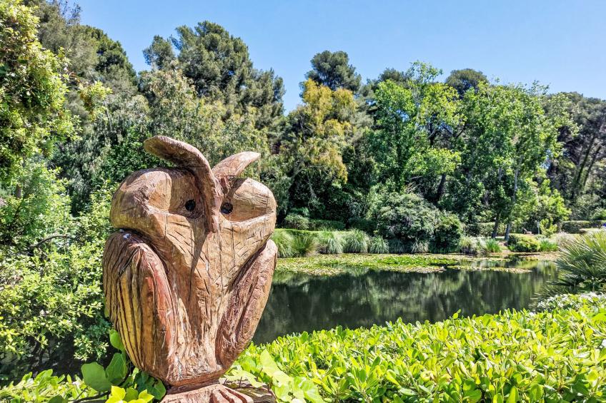 Les Morières - foto 31