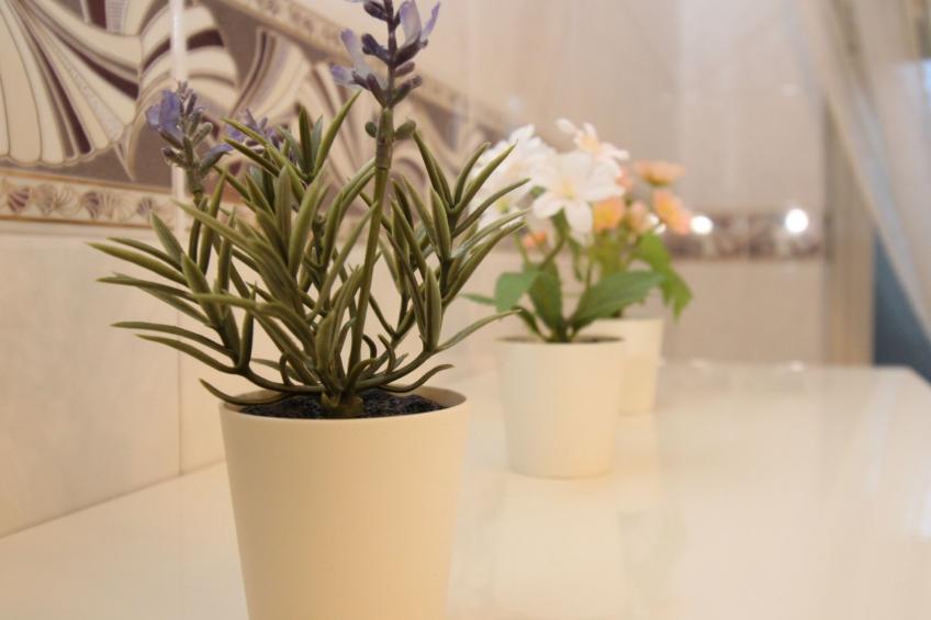 Janna e Mare - foto 14