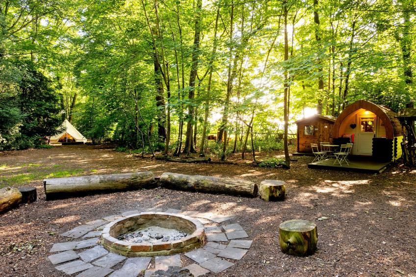 Bluebelle Glamping Pod - foto 5