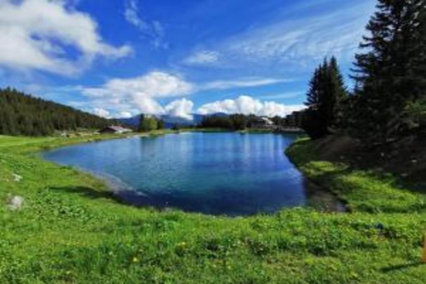 Chez Dominique - foto 27