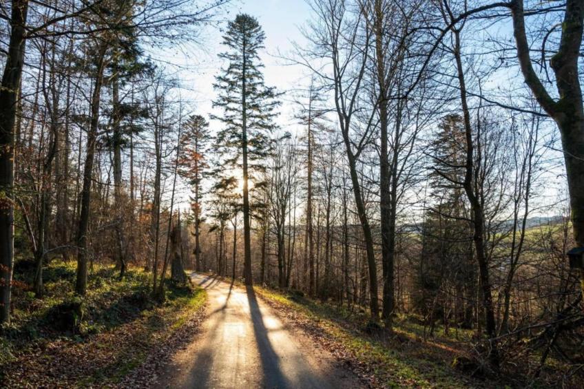 Haus Finger - foto 33