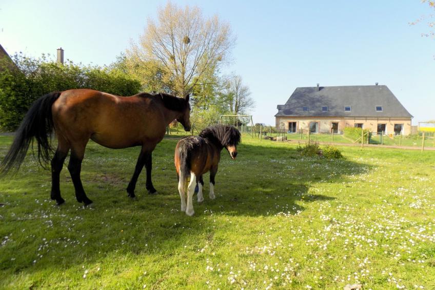 für 8 Personen - foto 26