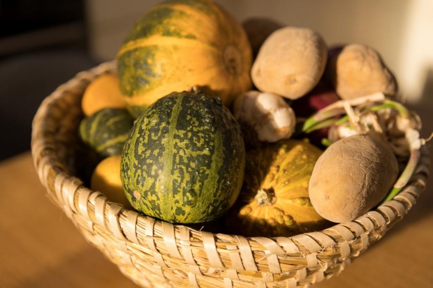 Stipanovi Dvori mit Bergblick - foto 46