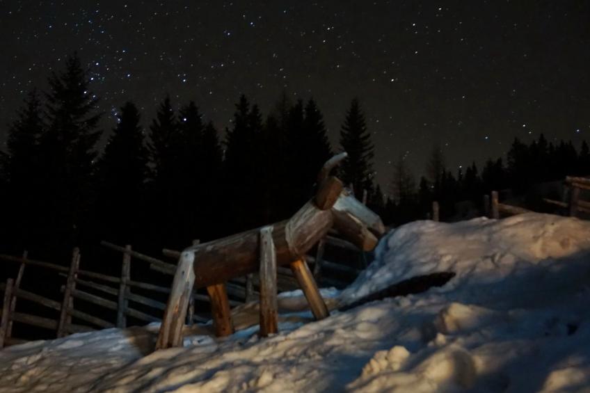 Guglhütte - foto 18