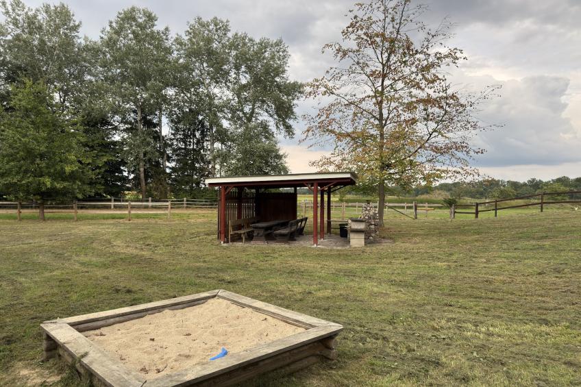 Lüneburger Heide - foto 31