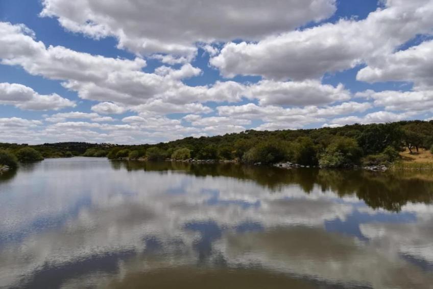 Casa do Forno - foto 38