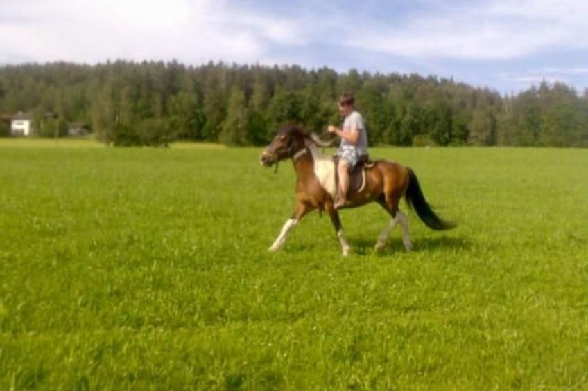 in Zandt mit Kleiner Terrasse - foto 21