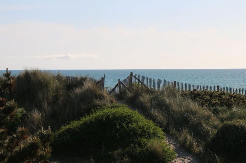 l'Escale dunes, Strände 20 Meter entfernt, Meerblick - foto 21