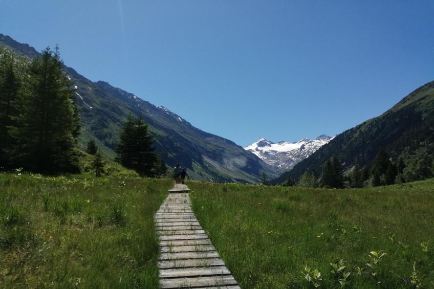 Mitterkopfblick - foto 15