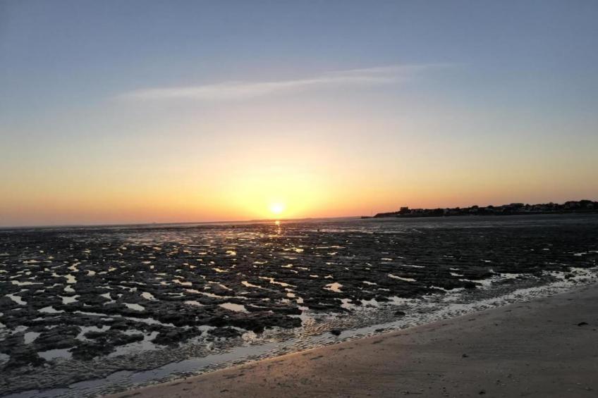 Les Terrasses de Fort Boyard - foto 9