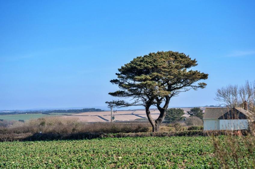 Chy Merthen - foto 8