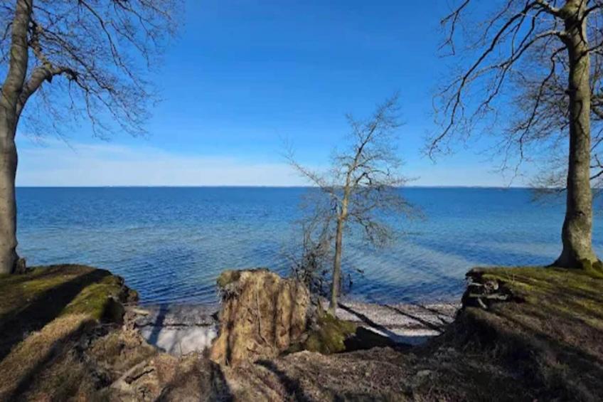 BF-ZVTNN - foto 19