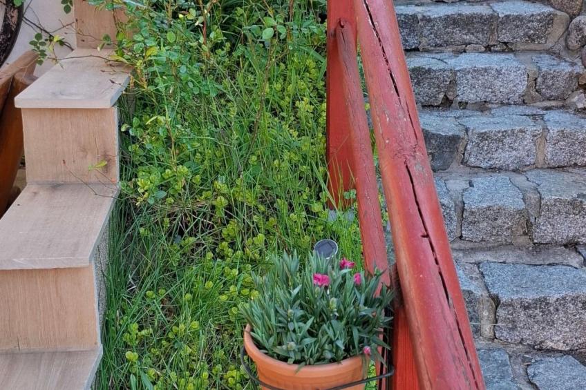 Bungalow Stuebner - foto 29