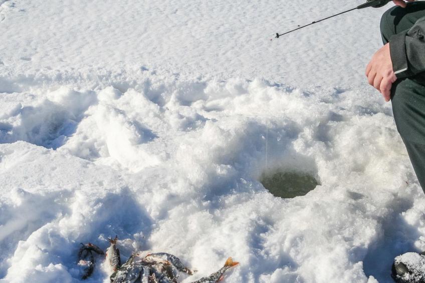 Viehko, mustosen lomamökit - foto 23