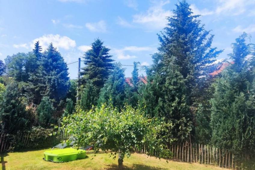 am Hofladen Hellendorf - Sächsische Schweiz - foto 22