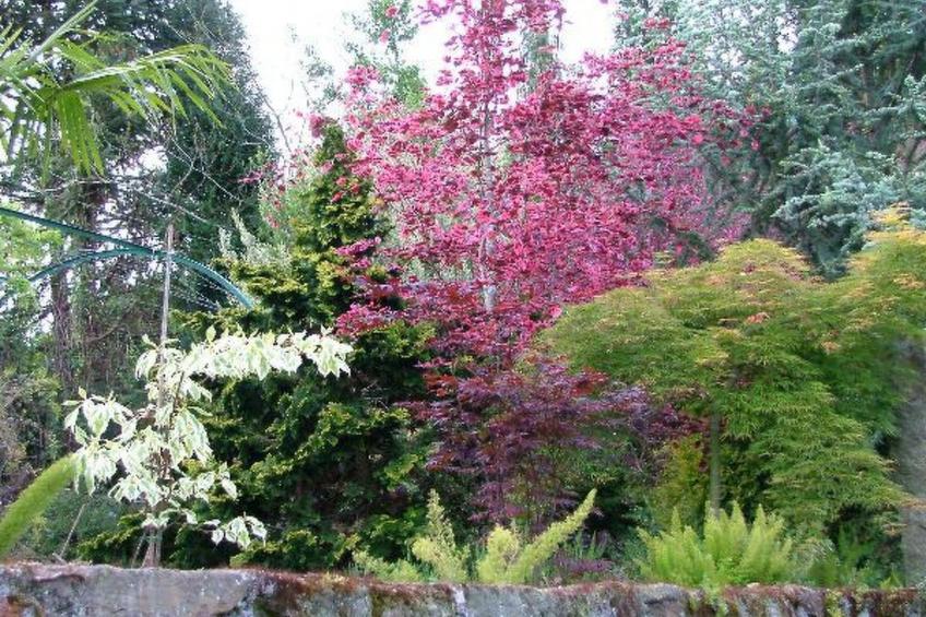 Finca "Quinta do Bento Novo" - foto 26