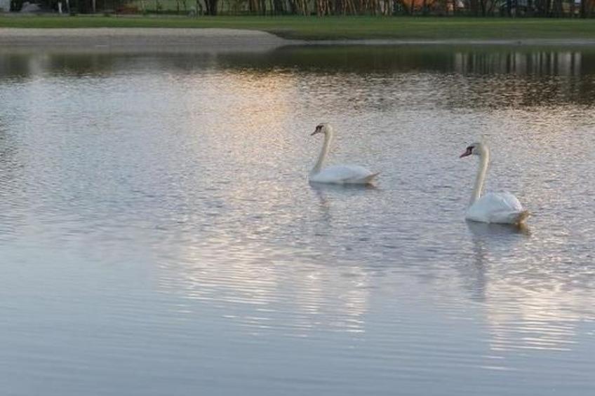 Gemütliches Appartement mit Terrasse und Garten - foto 20