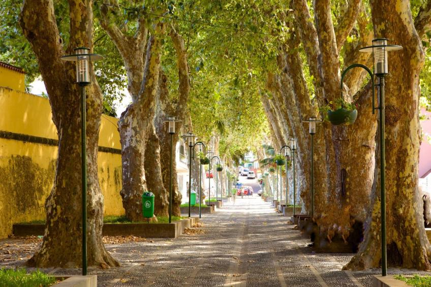 Sunny Beach Machico Wohnung - foto 26