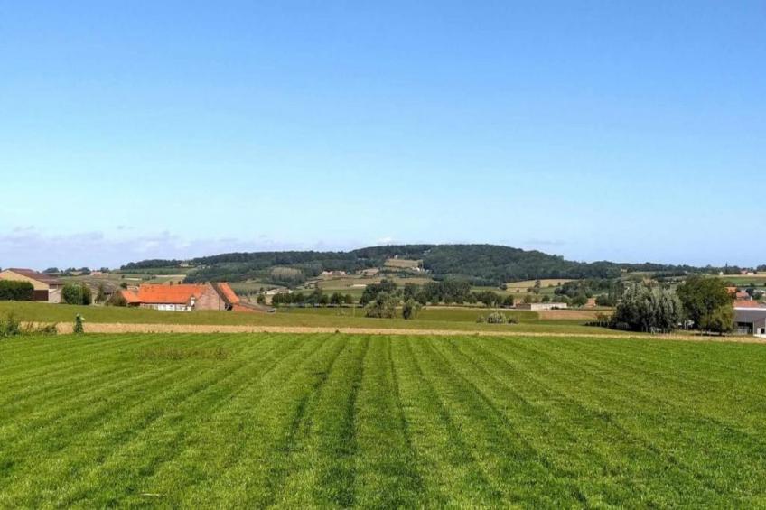 Petite Gite - foto 27
