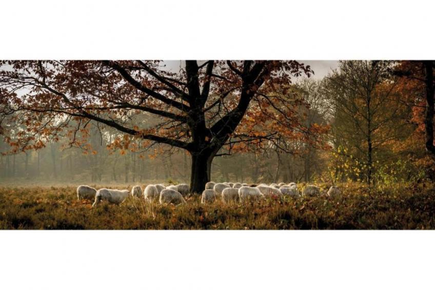 Vlindervallei Studio 2p - foto 28