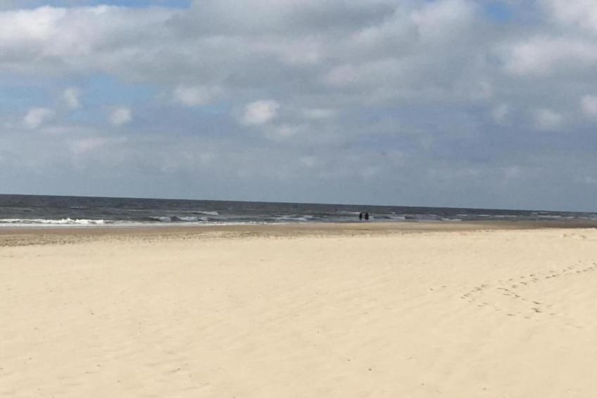 Anna's Place - foto 32