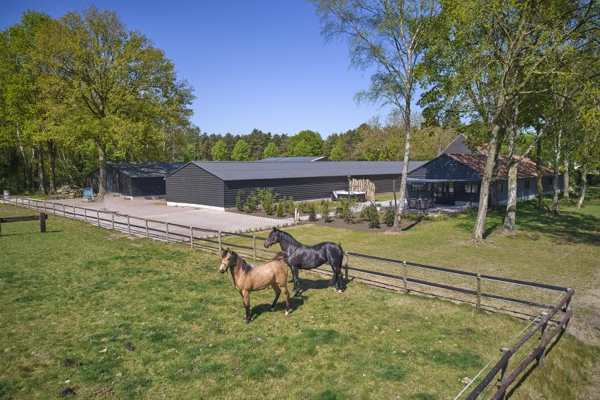 Guesthouse het Koetshuis - foto 43