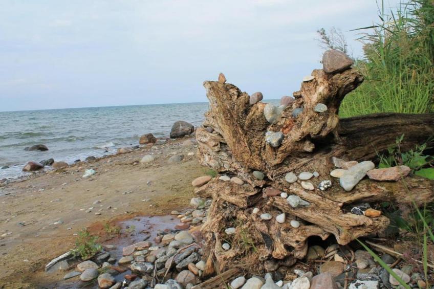 Ferien an der Ostsee - foto 16