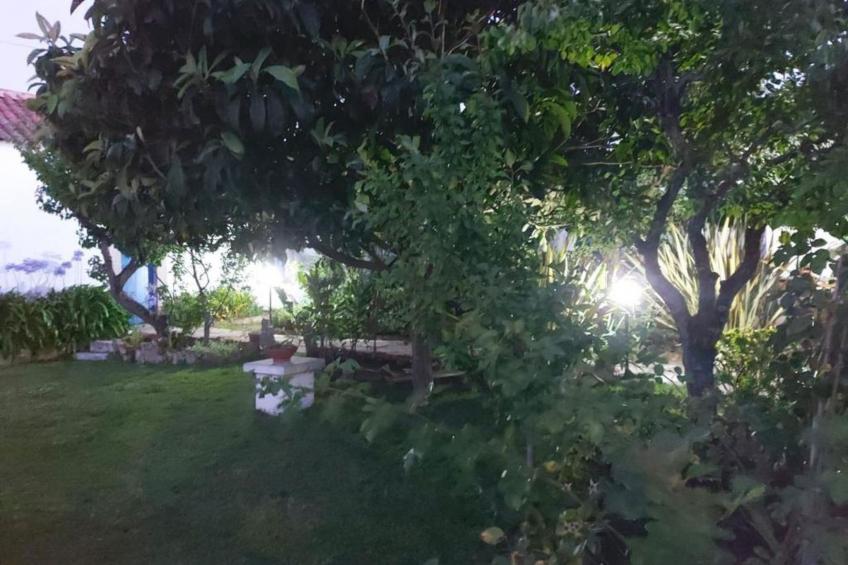 Historisches Haus in der Nähe des historischen Dorfes von Óbidos - foto 46