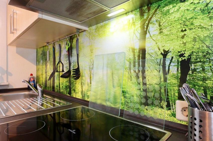 Donau-Quelle in Rietheim - foto 8