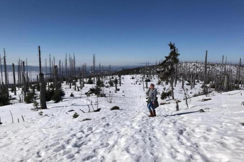 Geyersberg Freyung- Typ A Standard - foto 14