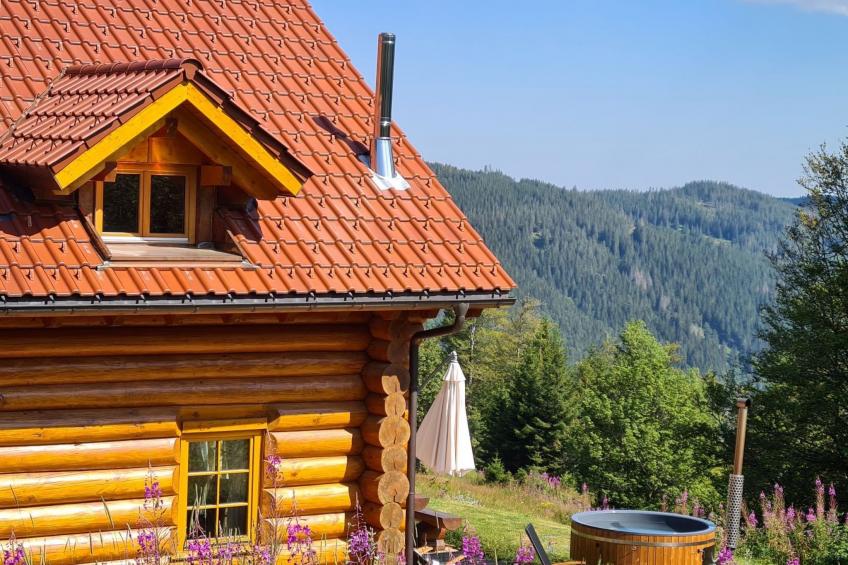 in Feldberg (Schwarzwald) mit Privatem Pool - foto 37