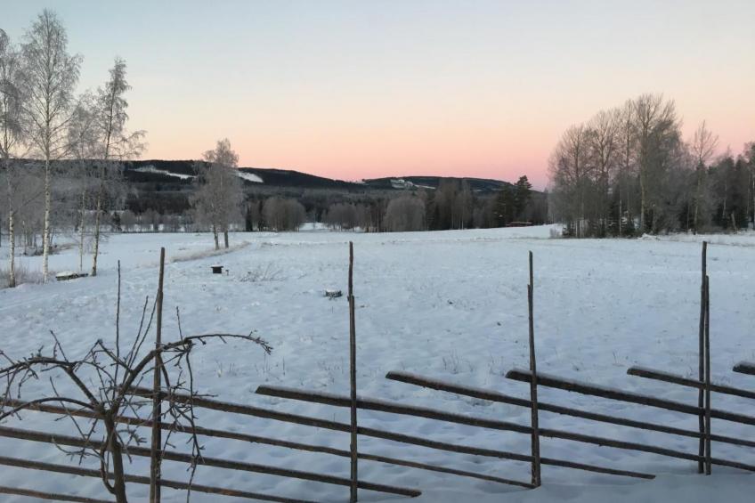 Haus Gård Solhag - foto 38