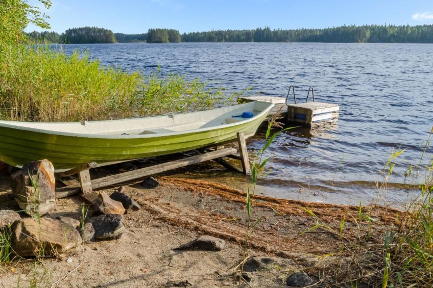 Koli, cjoe069 kissankello - foto 6