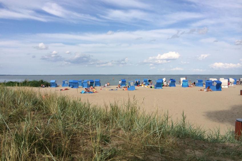 Wohnung in Mönkebude mit Terrasse und Grill - foto 37