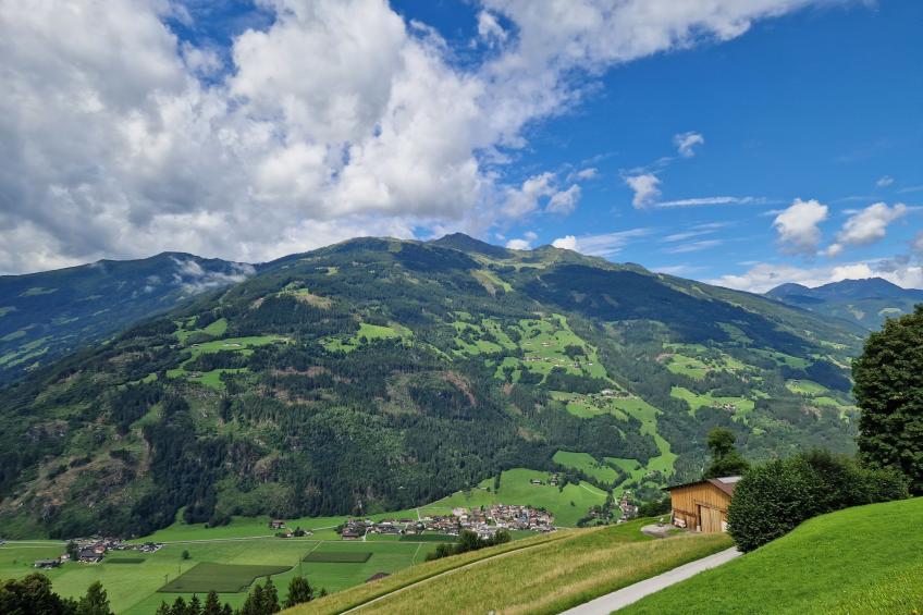 Lindenthaler - foto 17