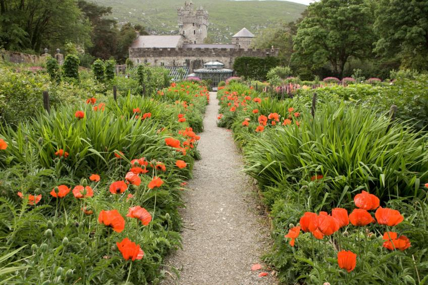 Anchor Cottage Portsalon - foto 20