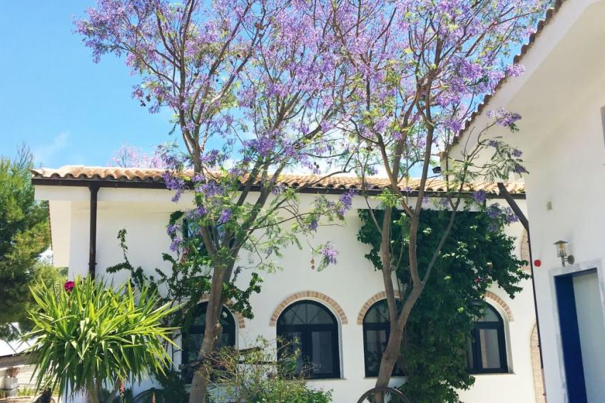 in Ermioni mit Grill, Terrasse und gemeinschaftlichem Pool - foto 6