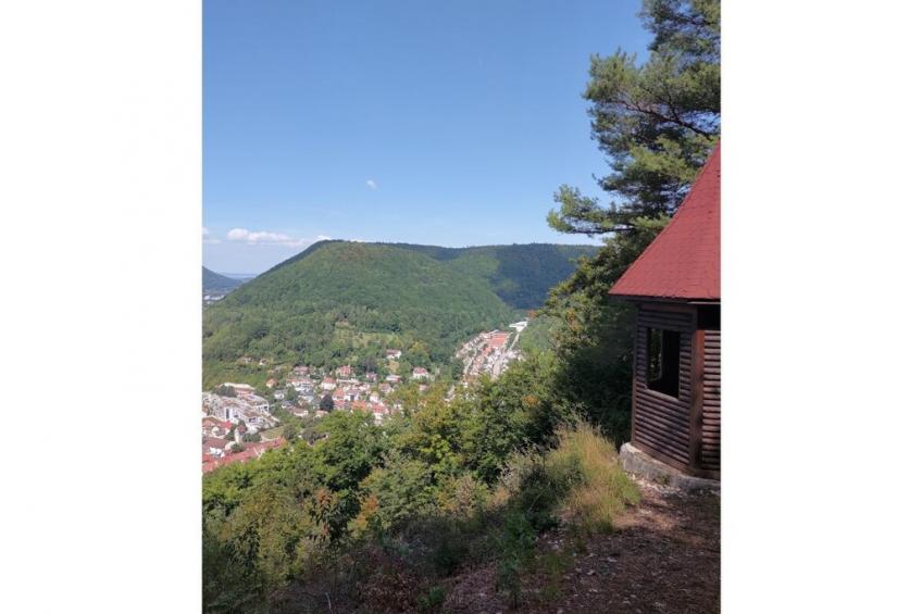 465833 - foto 28