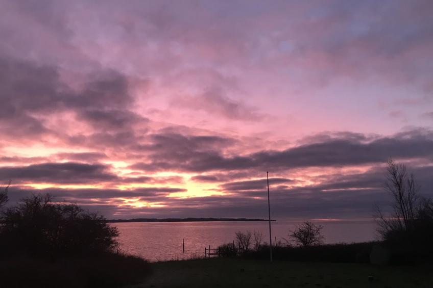 "Sissela" - 5m from the sea in Funen - foto 4