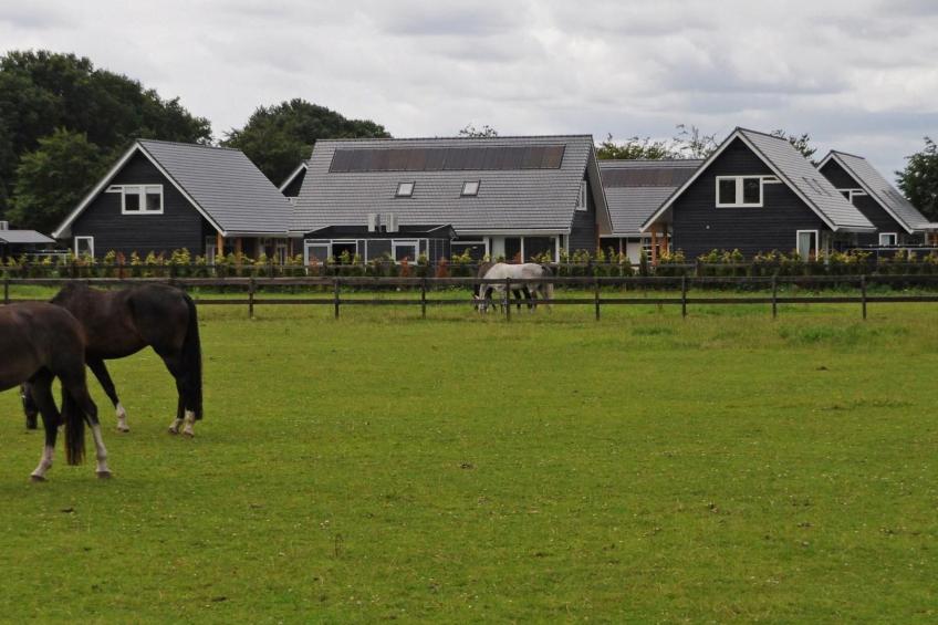 Anwesen "Oranjehorst" - foto 16