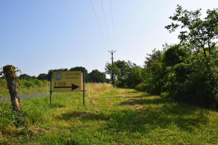 Ecolodge en Sequoia - foto 14