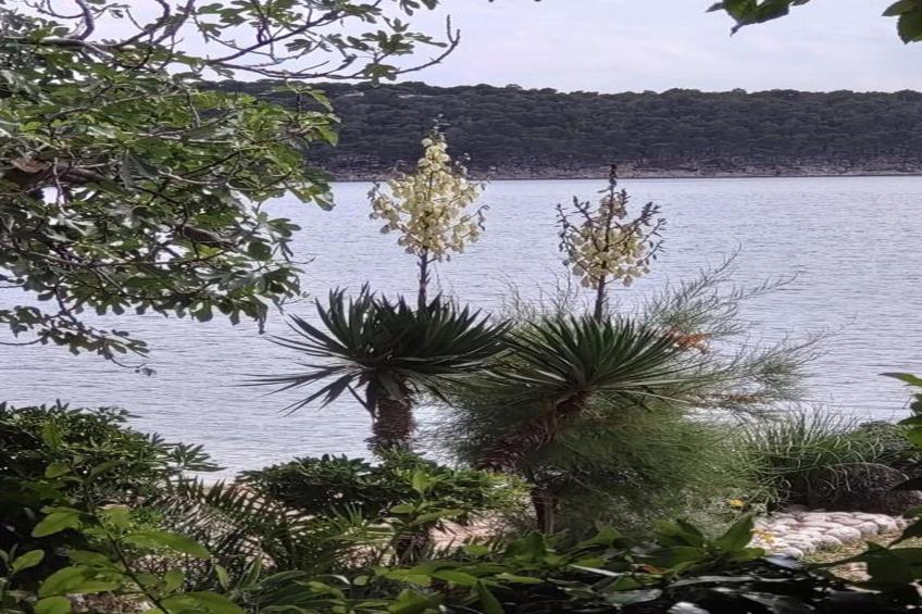 Apartments Jurica - Apt Ana with Sea View, - foto 29