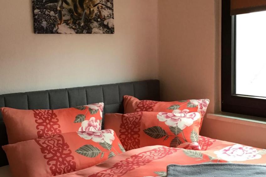 Auf der Sonnenseite - foto 6