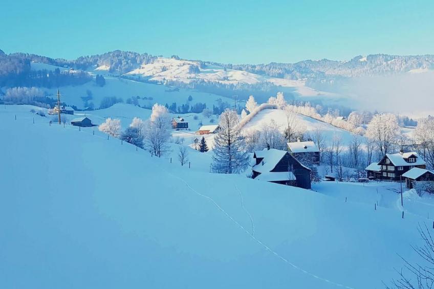 Ferien im Toggenburg - foto 10